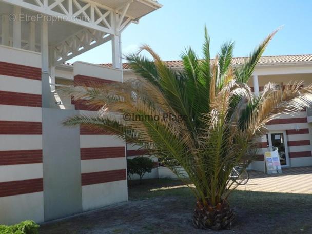 Soulac-Sur-Mer Avec Piscine Exteriér fotografie